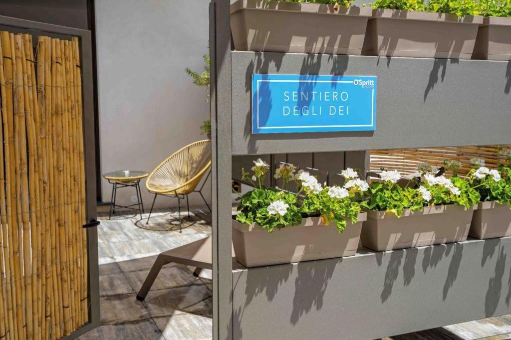 Ospritthouse Apartment Agerola Ngoại thất bức ảnh